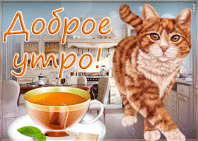 Открытка удивительная открытка доброе утро