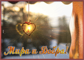 Picture удивительная открытка с пожеланием мира и добра