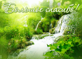 Открытка удивительная открытка спасибо