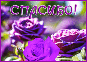 Picture укрепляющая гиф-открытка, дарю цветы за все то, что вы для меня делаете