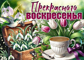 Postcard умилительная гиф-открытка, прекрасного воскресенья и настроения