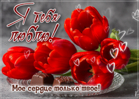 Postcard умиротворенная гиф-открытка, мое сердце только твое