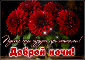 Postcard умиротворяющая гиф-открытка, пусть сны будут приятными