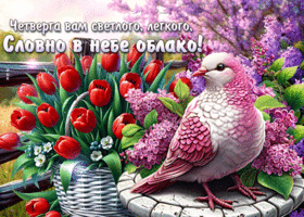 Postcard утончённая гиф-открытка, четверга вам светлого