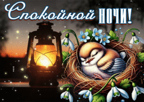 Picture утончённая гиф-открытка, пусть ночь будет уютной