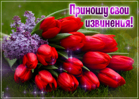 Postcard уважительная гиф-открытка, приношу свои извинения