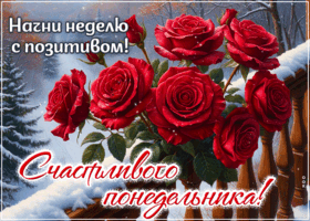 Picture уютная картинка, гармоничного понедельника!