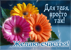 Picture уютная открытка, с цветами и теплом