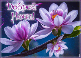 Postcard вдохновляющая гиф-открытка, доброй и уютной ночи