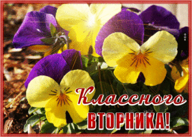 Postcard вдохновляющая гиф-открытка, классного вторника