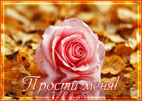 Picture вдохновляющая осенняя открытка прости меня