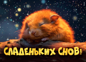 Picture вдохновляющая открытка сладеньких снов