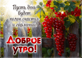 Picture великолепная гиф-открытка, пусть день будет полон счастья