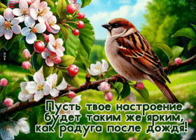 Picture великолепная гиф-открытка, яркого настроения