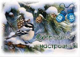 Picture великолепная гиф-открытка желает хорошего настроения