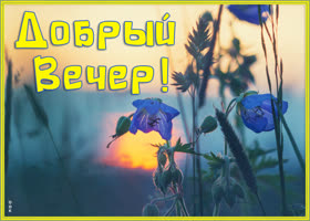 Открытка великолепная картинка добрый вечер