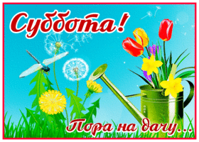 Открытка великолепная открыка с субботой