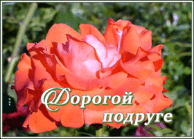 Открытка великолепная открытка подруге