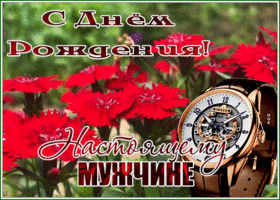 Postcard великолепная открытка с днем рождения настоящему мужчине