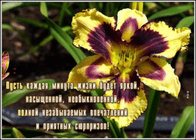 Картинка великолепная открытка с пожеланиями