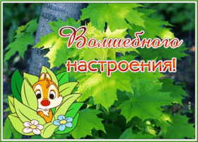 Открытка великолепная открытка волшебного настроения