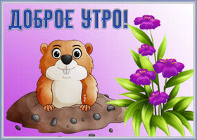 Картинка веселая картинка доброе утро