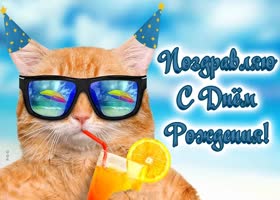 Picture веселая кртинка с днем рождения мужчине с котиком