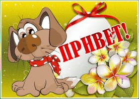 Открытка веселая открытка привет