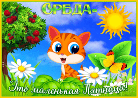 Открытка веселая открытка со средой