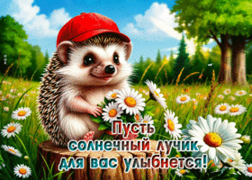 Postcard веселенькая гиф-открытка, пусть солнечный лучик для вас улыбнется