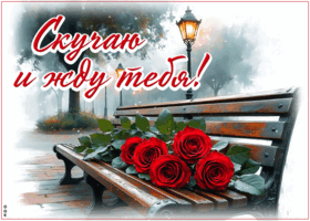 Picture веселенькая гиф-открытка, скучаю и жду тебя