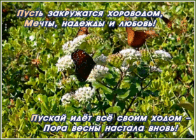 Открытка весенняя открытка с пожеланиями