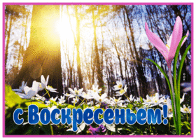 Postcard весенняя открытка воскресенье, с лучами солнца