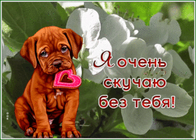 Picture весенняя открытка я очень скучаю без тебя