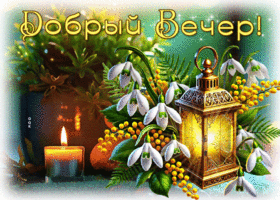 Postcard весёлая гиф-открытка, добрый вечер и приятных встреч