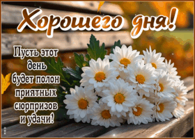 Postcard весёлая гиф-открытка, пусть день будет полон сюрпризов