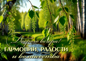 Picture весёлейшая гиф-открытка, доброго вечера, гармонии и радости