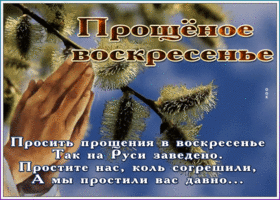 Открытка видео открытка прощеное воскресенье
