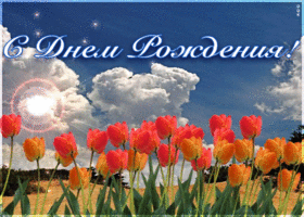 Картинка виртуальная открытка с днем рождения дорогой женщине