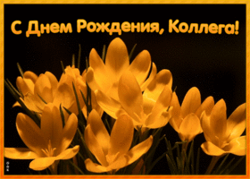 Открытка виртуальная открытка с днем рождения коллеге женщине