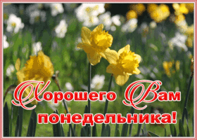 Открытка виртуальная открытка с понедельником