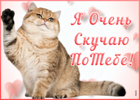 Открытка виртуальная открытка скучаю