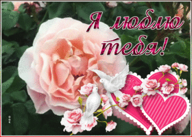 Открытка виртуальная открытка я тебя люблю