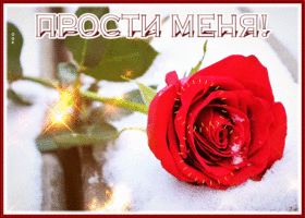 Postcard внимательная гиф-открытка о прощении