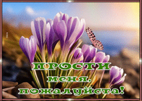 Postcard волшебная гиф-открытка просит прощения