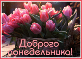 Picture волшебная гиф-открытка, самого доброго вам понедельника