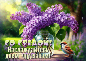 Picture волшебная гиф-открытка, желает насладится средой