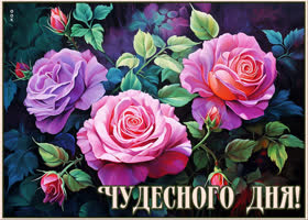 Postcard волшебная картинка чудесного дня