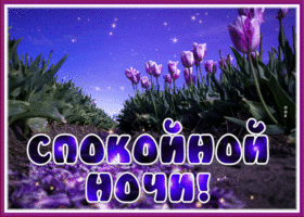 Postcard волшебная картинка спокойной ночи с тюльпанами
