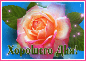 Picture волшебная картинка хорошего дня с розой